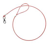 Alipis Chew Proof Puppy Leash with Steel Wire and Plastic Material, Wear-resistant Dog Chain for Safety and Comfort, for Attending Events and Competitions