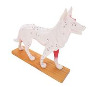 Alipis Dog Canine Acupuncture Model Anatomical Training Tool for Veterinary Education Detailed Acupuncture Point Model for Teaching and Learning Veterinary Techniques
