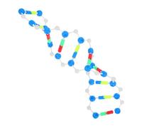 Alipis Educational Dna Model Kit for Students Double Helix Structure for Interactive Learning Classroom and Laboratory Use Supports Stem Education Visual Aid for Genetics and Molecular