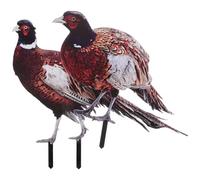 Alipis Garden Pheasant Stake Decor Lifelike Realistic Appearance with Weather Resistant Features 2pcs Acrylic and for Yard and Flower Pot Decoration Yard Flower Pot Decoration