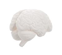 Alipis Human Brain Model Anatomical Educational Tool for Teaching Psychology Biology Disassembled Structure for Medical Institutions Students Personal Collections