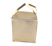 Alipis Insulated Cake Bag Food Bags Cooler Tote Insulated Storage Surface Design Easy Clean