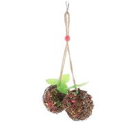 Alipis Parrot Chew Ball for Birds and Budgies, Plastic Hanging Bite with Foraging Pastime Feature to Reduce Destructive Behaviours, Suitable for Playing in Bird Cage