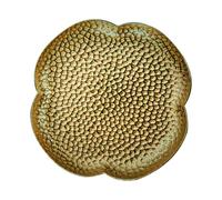 Alipis Pure Copper Round Teacup Tray Coaster Four-Leaf Clover Design Household Tea Cup Holder Mat for Chinese Zen Tea Serving Sturdy Copper Teacup Stand