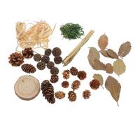Alipis Retro Wooden Pine Cone Photo Props Set for Food Photography and Store Display, Decorative Background Decoration with Lifelike Design, Suitable for Vintage Style Photo Style