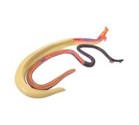 Alipis Schistosoma Anatomical Model Detachable Educational Anatomy Prop for Classroom Detailed Teaching Aid for Biology Research