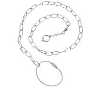 Alipis Stainless Steel Parakeet Leash and Pet Bird Foot Chain with Reinforcing Rust Resistant Chains, Sturdy Bird Harness Leash for Taking Your Pet Anywhere