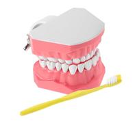 Alipis Tooth Brushing Teaching Tool for Kids Interactive Oral Education Model with Toothbrush 1-piece Brushing Practice Aid for Kindergarten and Home Use
