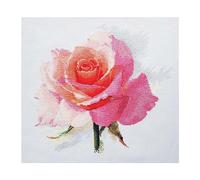 Alisa Cross Stitch Kit - The Breath of Rose Tenderness