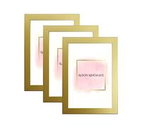 Alison Kingsgate Pack of 3 Gold 14x10 Inch Frame With Safe Perspex Front - Set of 3 14" x 10" (35.6 x 25.4cm) Gold Frames - Display Portrait & Landscape - Handmade Frames