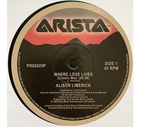 Alison Limerick - Alison Limerick - Where Love Lives