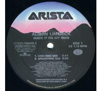 Alison Limerick - Make It on My Own [12" VINYL]