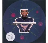 Alison Limerick - Where Love Lives (Come On In) - Alison Limerick 7" 45