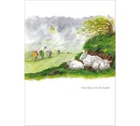 Alison's Animals Card Collection - And They Call Us Stupid