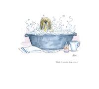 Alison's Animals Card Collection - I Prefer Fox Poo