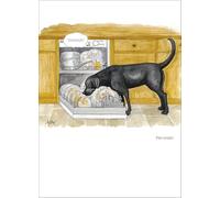 Alison's Animals Card Collection - Prewash