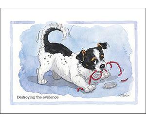 Alisons Animals Destroying the evidence - Humorous Dog themed greeting card