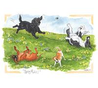 Alisons Animals Spring rolls- Humorous Dog themed greeting card