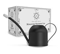 Alive Central Small Watering Can for Indoor Plants - Mini Watering Can - Black