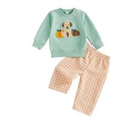 AliveBabe Baby Halloween Outfits Baby Boys' Clothing Long Sleeve Puppy Embroidery Pullover Tops With Pants Set Toddler Clothes Set 2Pcs (Green, 2-3T)