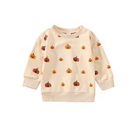 AliveBabe Infant Sweatshirts Baby Halloween Outfits Long Sleeve Pullover Round Neck Pumpkin/Ghost Print Sweatshirt Baby Clothing (Beige 2, 6-12 Months)