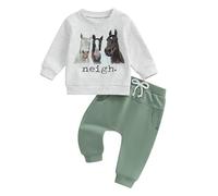 AliveBabe Toddler Boy Baby Clothes Letter Horse Head Print Long Sleeve Sweatshirts And Long Pants 2Pcs Clothing Set Fall Outfits (Green, 6-12 Months)