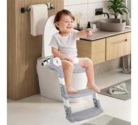 Alivio 2-In-1 Kids Potty Training Seat With Ladder (Grey)