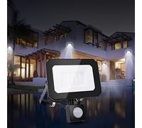 Alivio LED Cool White Floodlight Outside Light 10W-100W Security Energy Saving Flood Outdoor 5000-5500K Garden Spotlights with PIR Sensor (watts, 10)