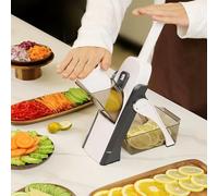 Alivio Multifunctional Vegetable Chopper, 4 Cutting Modes Spring Slicer, Dicer, Julienne, Stick Cutter, Stainless Steel Blade Safe & Unique Slicer Kitchen Gadgets (Grey)