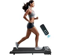Alivio Walking Pad Treadmill For Home Office Gym Fitness Exercise, 2.5Hp Under Desk Treadmill, Remote Control 1-8Km/h
