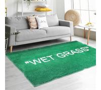 Alivora Wet Grass Rug for Bedroom-Non Slip Wet Grass Carpet for Living Room-Green Grass Rug is Machine Washable Home Floor Mat-Premium Area Rug for Home Decor [47.2 x 31.5]