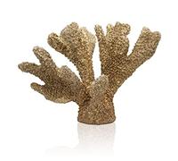ALIWINER Gold Coral Statue Resin Tabletop Decoration - Realistic Faux Branch Sculpture for Home, Beach Theme Party, Wedding Decor, Window Display - 5.9"