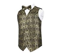 Alizeal Boys Classic Paisley Bow Tie and Suit Vest Set, Black Gold-12