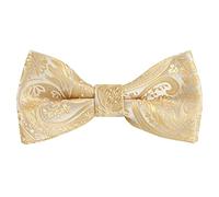 Alizeal Boys Paisley Jacquard Banded Adjustable Length Pre-tied Bow Tie, Champagne