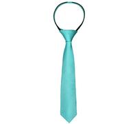 Alizeal Boys Solid Color Pre-tied 6cm Zipper Skinny Necktie, Aqua