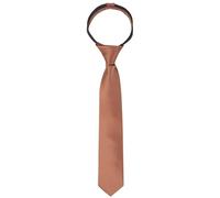 Alizeal Boys Solid Color Pre-tied 6cm Zipper Skinny Necktie, Coffee