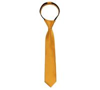 Alizeal Boys Solid Color Pre-tied 6cm Zipper Skinny Necktie, Gold