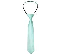 Alizeal Boys Solid Color Pre-tied 6cm Zipper Skinny Necktie, Light Mint