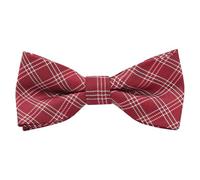 Alizeal Boys Tartan Check Stripe Pre-tied Bow Tie | Kids School Gifts Tie, Wrinkle Resistant Material, Perfect Kid Fit