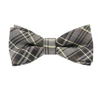Alizeal Boys Tartan Check Stripe Pre-tied Bow Tie | Kids School Gifts Tie, Wrinkle Resistant Material, Perfect Kid Fit