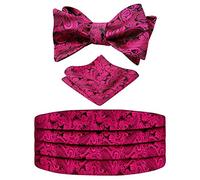 Alizeal Mens Classic Paisley Self-tied Adjustable Bow Tie, Cummerbund and Pocket Square Set, Black+Hot Pink