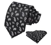 Alizeal Mens Irregular Patterned Colorful Necktie and Pocket Square 8cm Stylish Casual Party Prom Tie and Hanky Set, Black+White Paisley