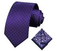 Alizeal Mens Polka Dot Ties Jacquard Woven Classic Wedding Business Necktie & Pocket Square Set, Royal Purple