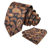 Alizeal Mens Retro Paisley Jacquard Tie and Hanky Set, Black+Coffee