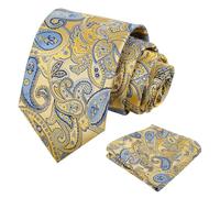 Alizeal Mens Retro Paisley Necktie and Handkerchief Set | Harry Styles Tie, Jacquard Craft, Versatile for Casual to Formal Occasions