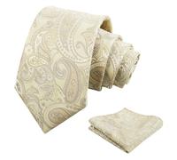 Alizeal Mens Retro Paisley Necktie and Handkerchief Set | Harry Styles Tie, Jacquard Craft, Versatile for Casual to Formal Occasions
