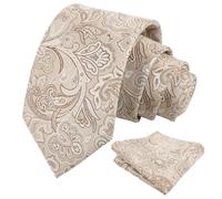 Alizeal Mens Retro Paisley Necktie and Handkerchief Set | Harry Styles Tie, Jacquard Craft, Versatile for Casual to Formal Occasions