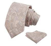 Alizeal Mens Retro Paisley Necktie and Handkerchief Set | Harry Styles Tie, Jacquard Craft, Versatile for Casual to Formal Occasions