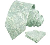 Alizeal Mens Retro Paisley Necktie and Handkerchief Set, Light Green+Sage