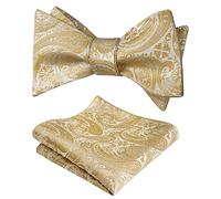 Alizeal Mens Self Tie Bow Ties and Pocket Square Paisley Jacquard Classic Hanky and Tie Set, Champagne